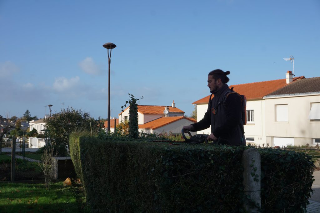 taille de haie par Guibert Paysage