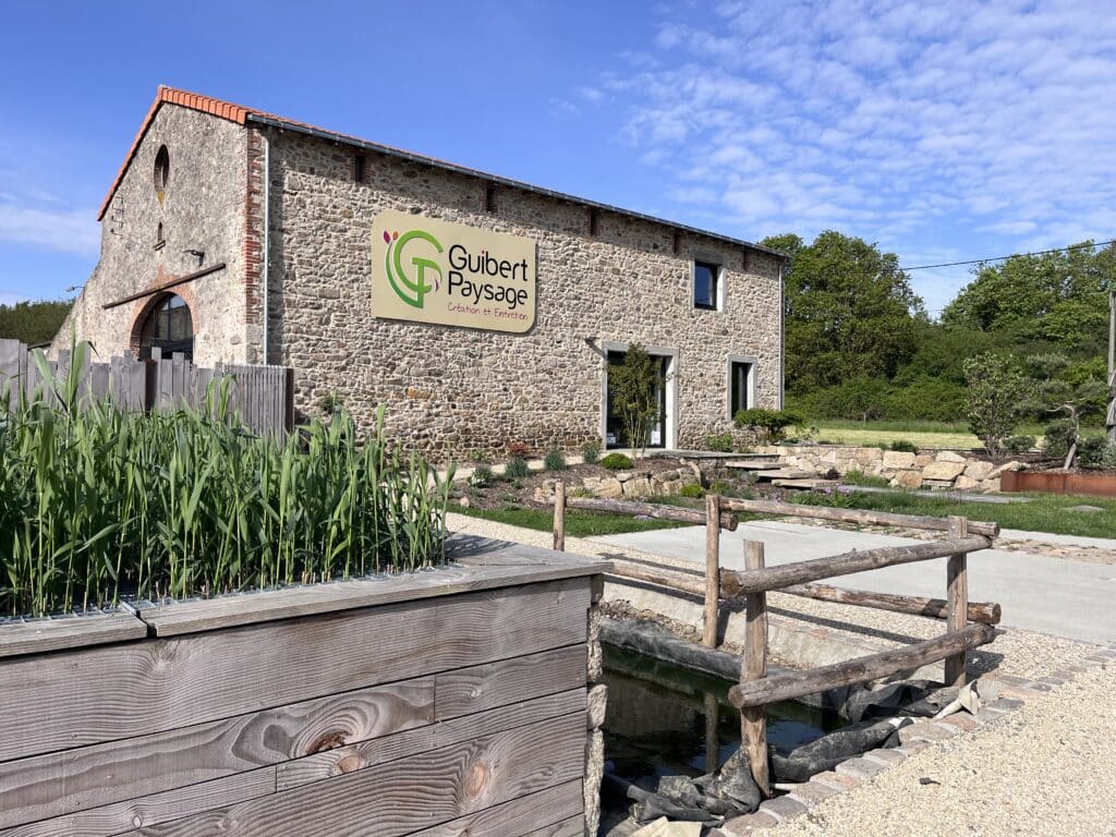 système phytoépuration devant Guibert Paysage